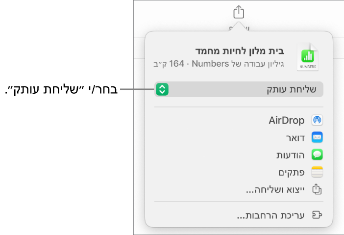 תפריט השיתוף כאשר האפשרות ״שלח/י עותק״ נבחרת בחלק העליון.