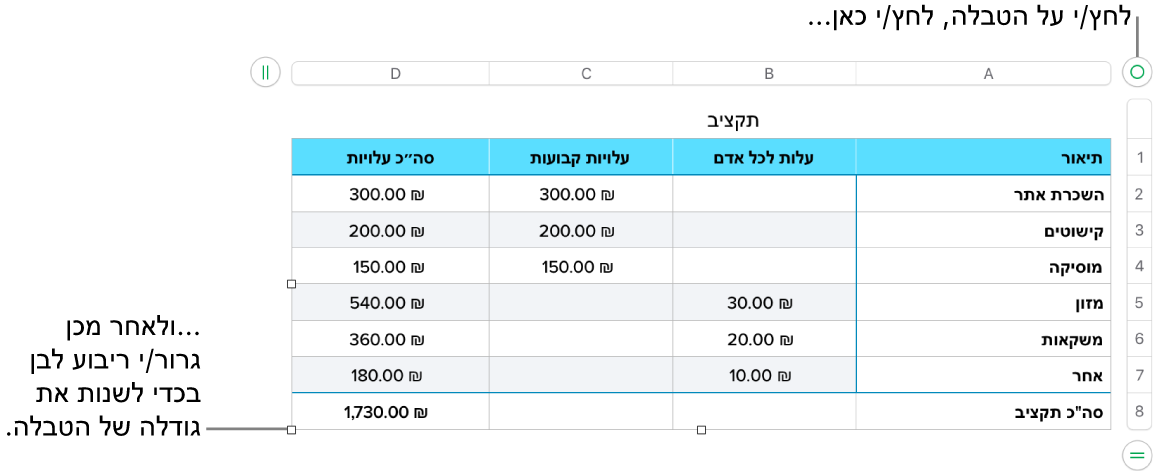 טבלה שנבחרה, עם ריבועים לבנים לשינוי גודל.