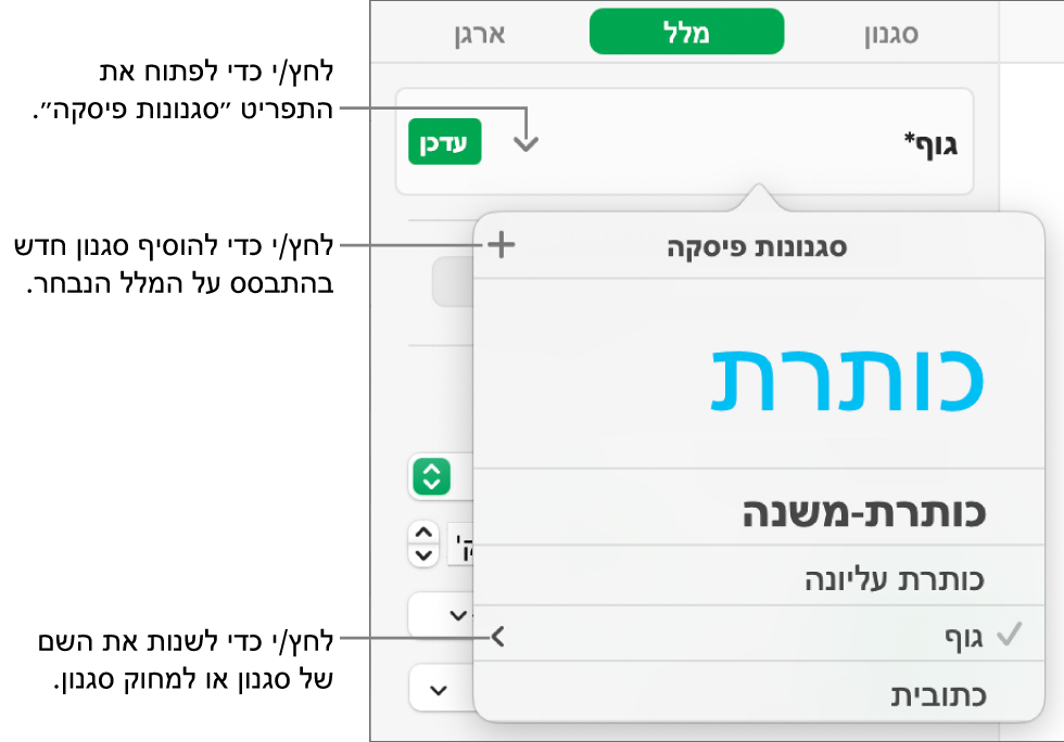 התפריט ״סגנונות פיסקה״, מציג כלי בקרה להוספה או שינוי של סגנון.