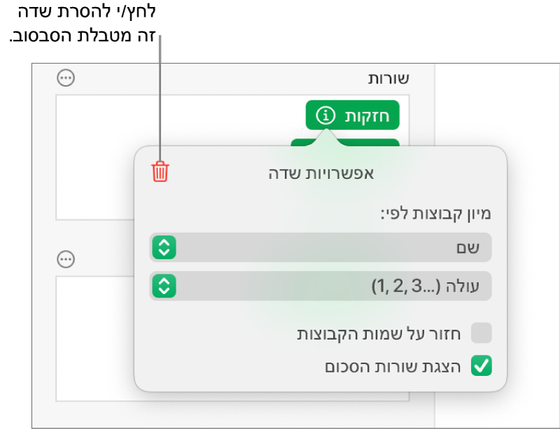 התפריט ״אפשרויות שדה״, שבו מוצגים פקדים לקיבוץ ומיון של נתונים, וכן האפשרות להסיר שדה.