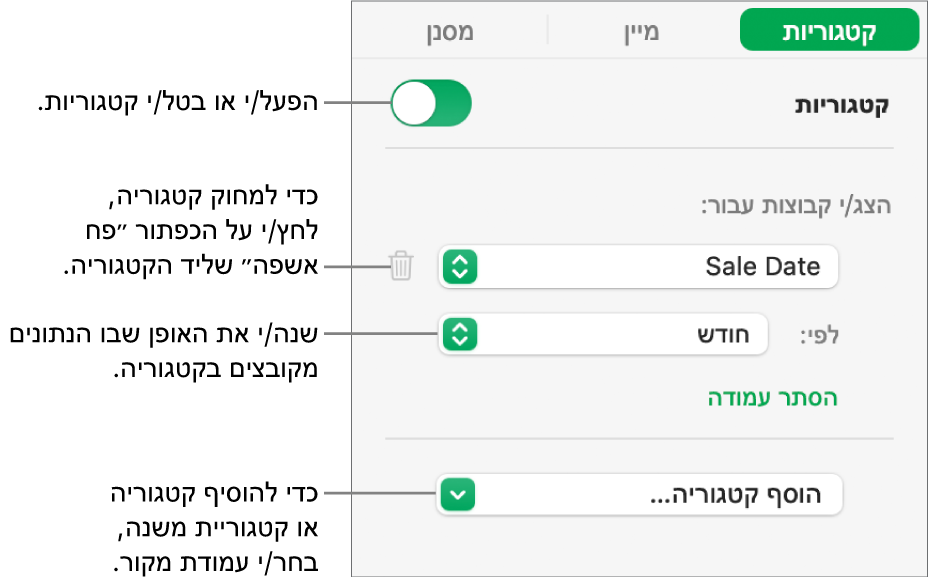 סרגל הצד של קטגוריות עם אפשרויות לביטול קטגוריות, מחיקת קטגוריות, סידור מחדש של נתונים בקבוצות, הסתרת עמודת מקור והוספת קטגוריות.