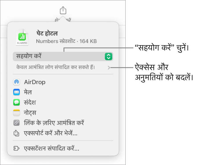 “शेयर करें” मेनू और शीर्ष पर “सहयोग करें” तथा नीचे ऐक्सेस और अनुमतियाँ चुनी हुई हैं।