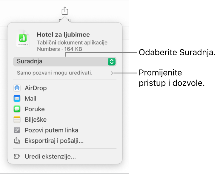 Izbornik dijeljenja s opcijom Suradnja odabran na vrhu i postavke pristupa i dozvola ispod.