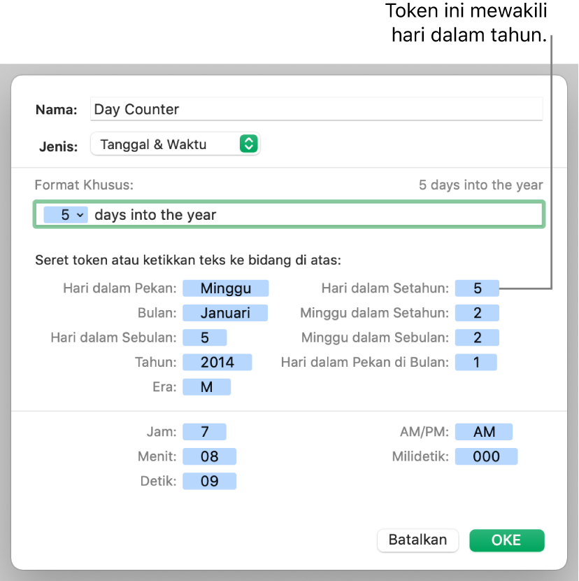 Format sel tanggal dan waktu khusus.