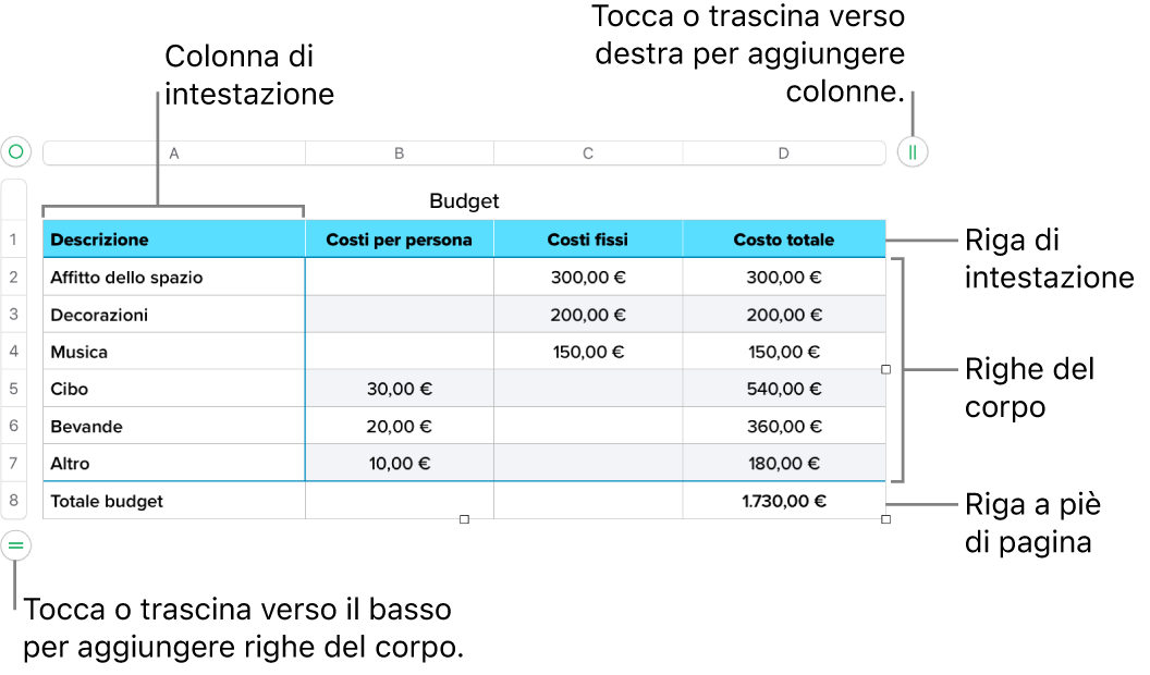 Tabella con righe e colonne di intestazione, corpo e piè di pagina, nonché le maniglie per aggiungere o eliminare righe o colonne.