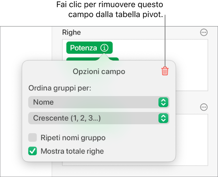 Il menu “Opzioni campo” che mostra i controlli per raggruppare e ordinare i dati, nonché le opzioni per rimuovere un campo.