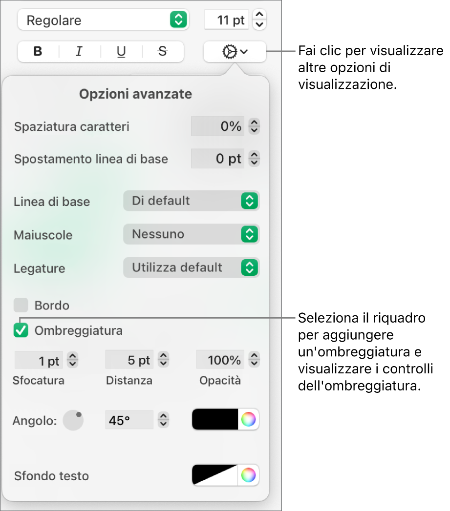 Il menu Altre opzioni di testo aperto con il riquadro Ombre selezionato e i controlli per impostare la sfocatura, l’offset, l’opacità, l’angolazione e il colore.