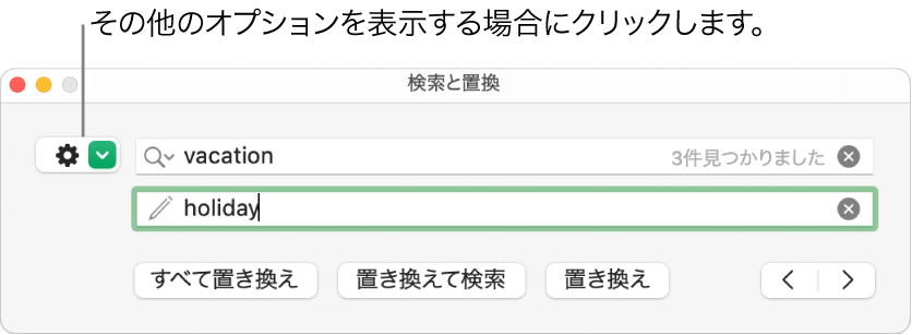 「検索と置換」ウインドウ。詳細オプションを表示するためのボタンのコールアウトが表示された状態。