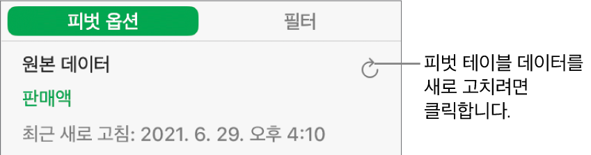 피벗 테이블을 새로고침할 수 있는 옵션을 표시하는 피벗 옵션 탭.