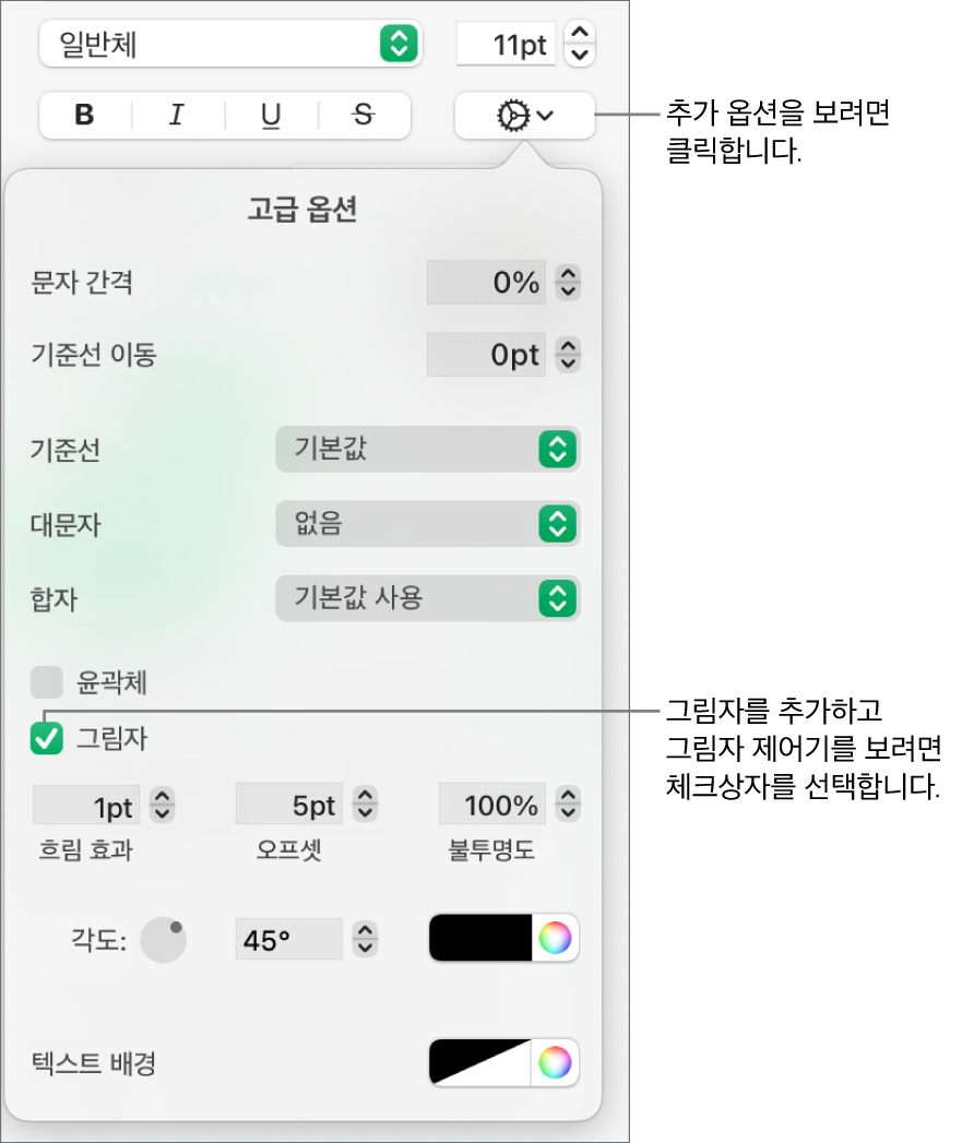 그림자 체크상자가 선택되어 있고, 흐림 효과, 오프셋, 불투명도, 각도 및 색상을 조정하는 제어기가 열려 있는 추가 텍스트 옵션 메뉴.