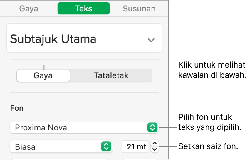 Kawalan teks dalam bahagian Gaya pada bar sisi Format untuk mengesetkan fon dan saiz fon.