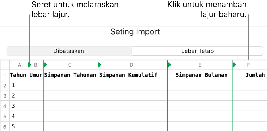 Seting import untuk fail teks lebar tetap.