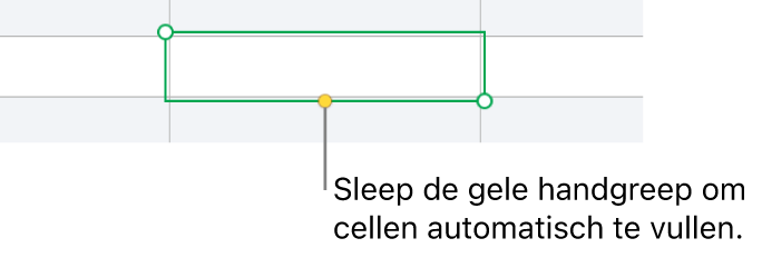 Een geselecteerde cel met een gele greep die je kunt slepen om cellen automatisch te vullen.