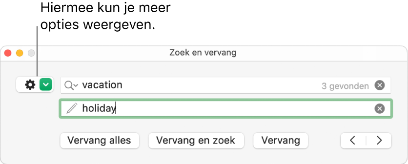 Het venster 'Zoek en vervang' met uitleg bij de knop voor meer opties.