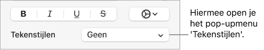Het pop‑upmenu 'Tekenstijlen' onder regelaars voor het wijzigen van de tekststijl en kleur.