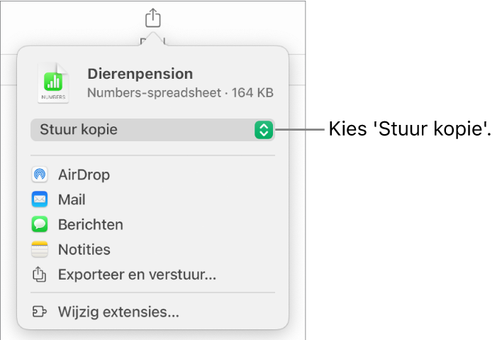 Het Deel-menu waarin bovenin 'Stuur kopie' is geselecteerd.