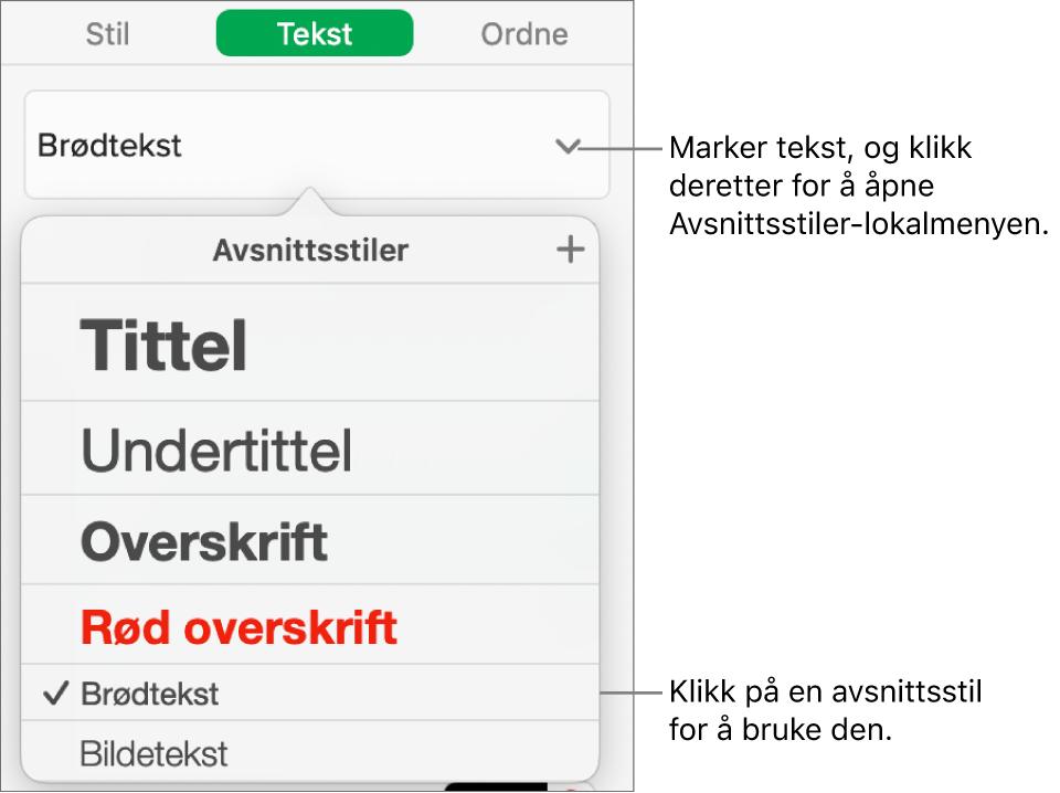 Avsnittsstil-menyen.