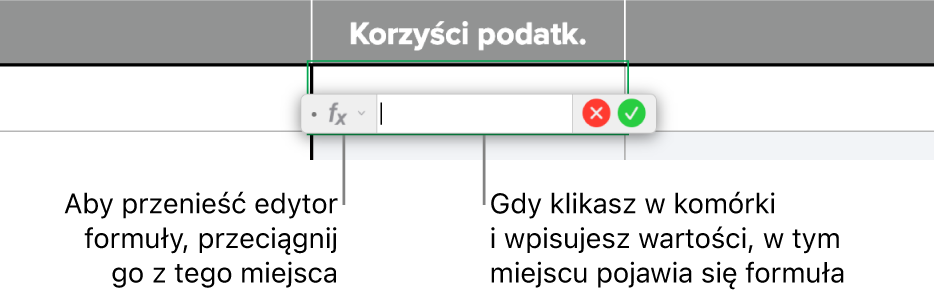 Edytor formuł.