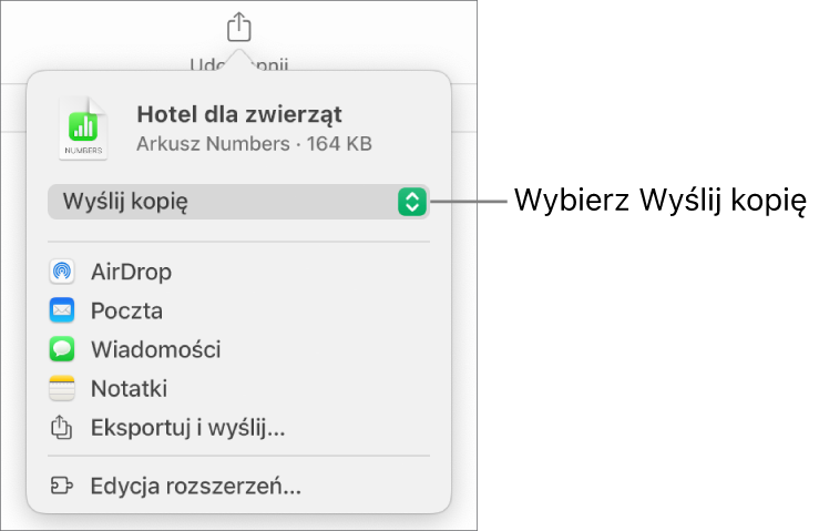 Menu udostępniania z wybraną opcją Wyślij kopię (na górze).