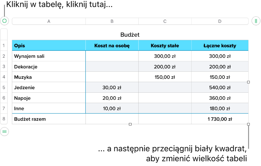 Zaznaczona tabela z białymi kwadratami pozwalającymi na zmienianie jej wielkości.