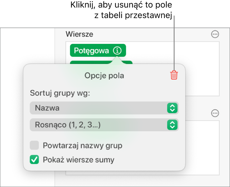 Menu Opcje pola pokazujące narzędzia grupowania i sortowania danych, a także opcja usuwania pola.