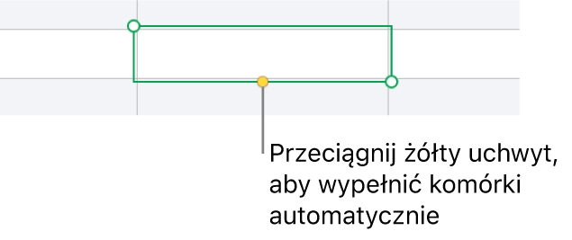 Zaznaczona komórka z żółtym uchwytem, który można przeciągnąć, aby automatycznie wypełnić komórki.