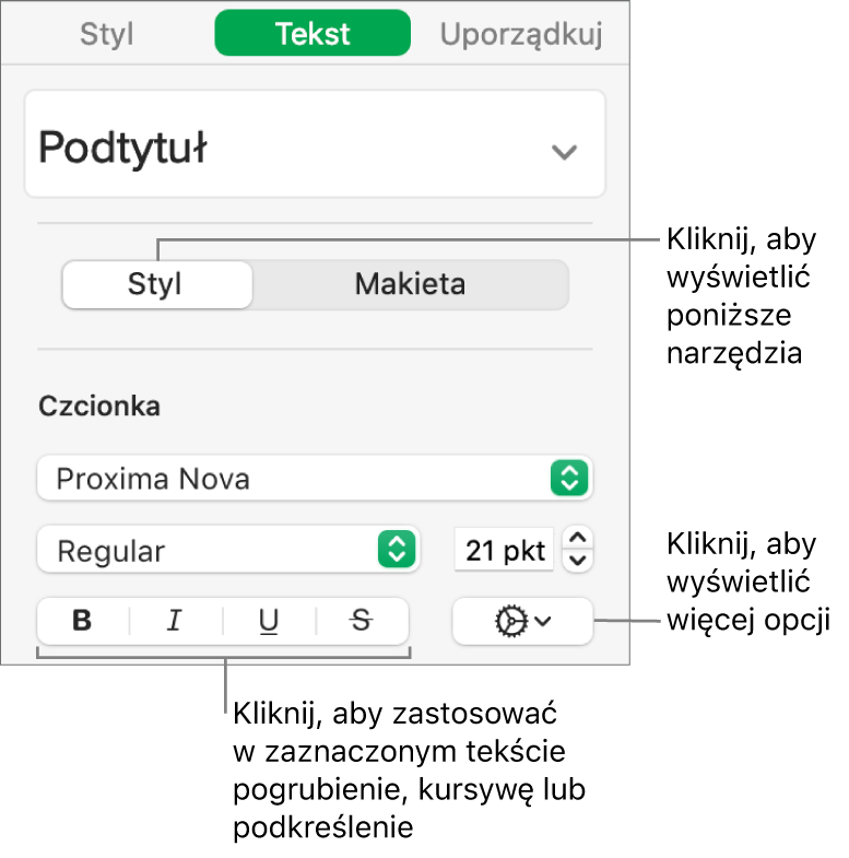 Narzędzia stylu na pasku bocznym. Objaśnienia wskazują przyciski: Pogrubienie, Kursywa, Podkreślenie oraz Przekreślenie.