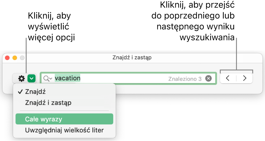 Okno Znajdź i zastąp oraz menu podręczne zawierające opcje Znajdź, Znajdź i zastąp, Całe wyrazy oraz Wielkość liter. Strzałki znajdujące się po prawej umożliwiają przechodzenie do poprzedniego lub następnego wyniku wyszukiwania.