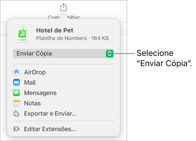 Menu Compartilhar com “Enviar Cópia” selecionado na parte superior.