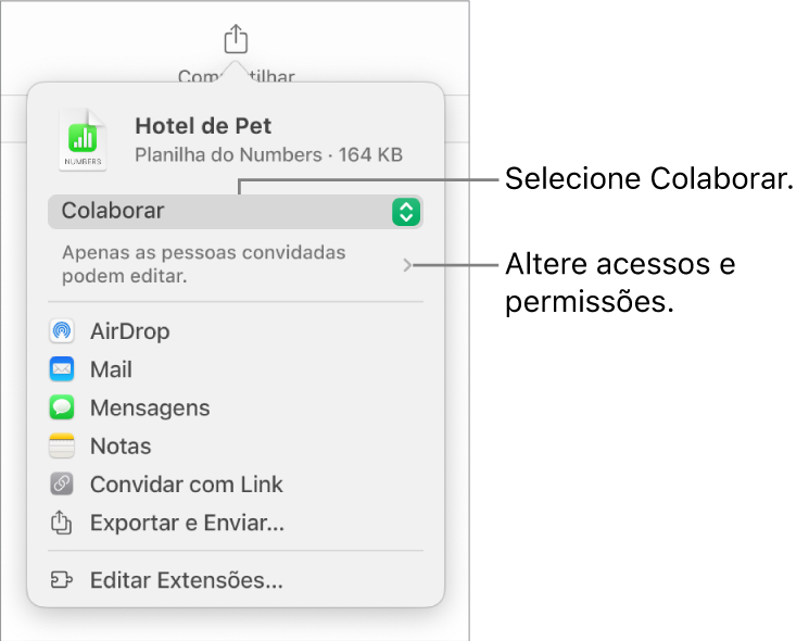 Menu Compartilhar com Colaborar selecionado na parte superior e os ajustes de acesso e permissão abaixo.