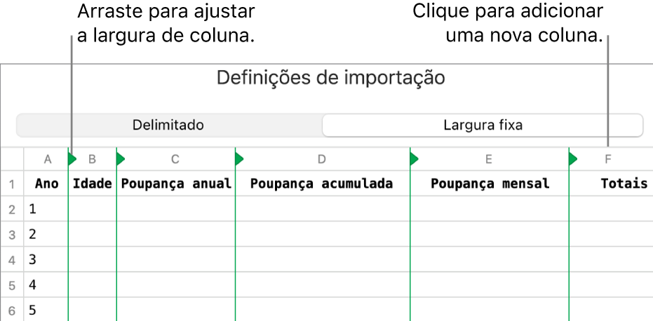 As definições de importação para um ficheiro de texto de largura fixa.