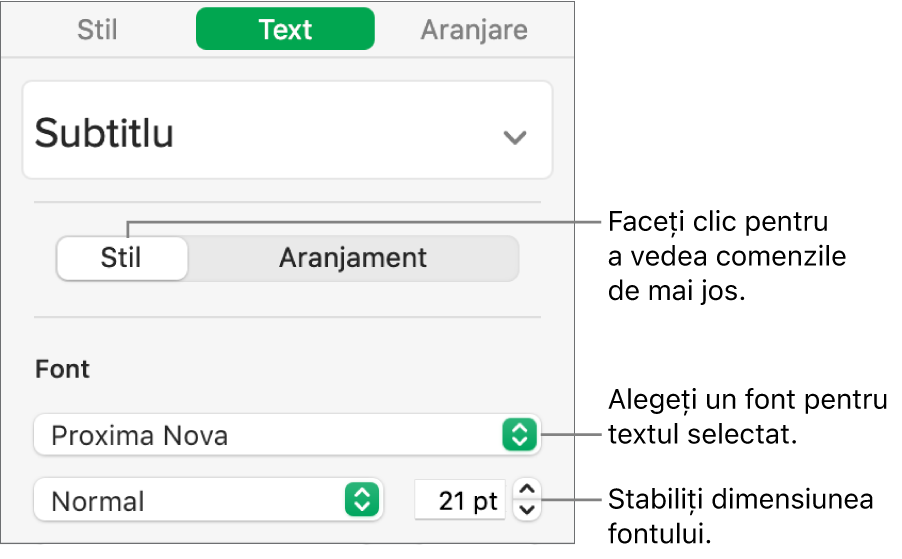 Comenzi de text din secțiunea Stil a barei laterale Format pentru configurarea fontului și a dimensiunii fontului.