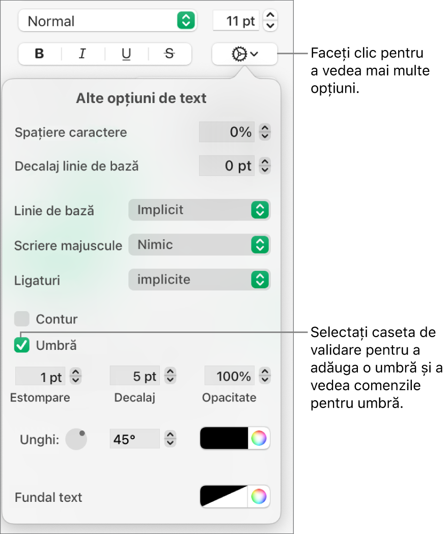 Meniul Alte opțiuni de text deschis, cu caseta de validare Umbre selectată și comenzile pentru a configura estomparea, decalajul, opacitatea, unghiul și culoarea.