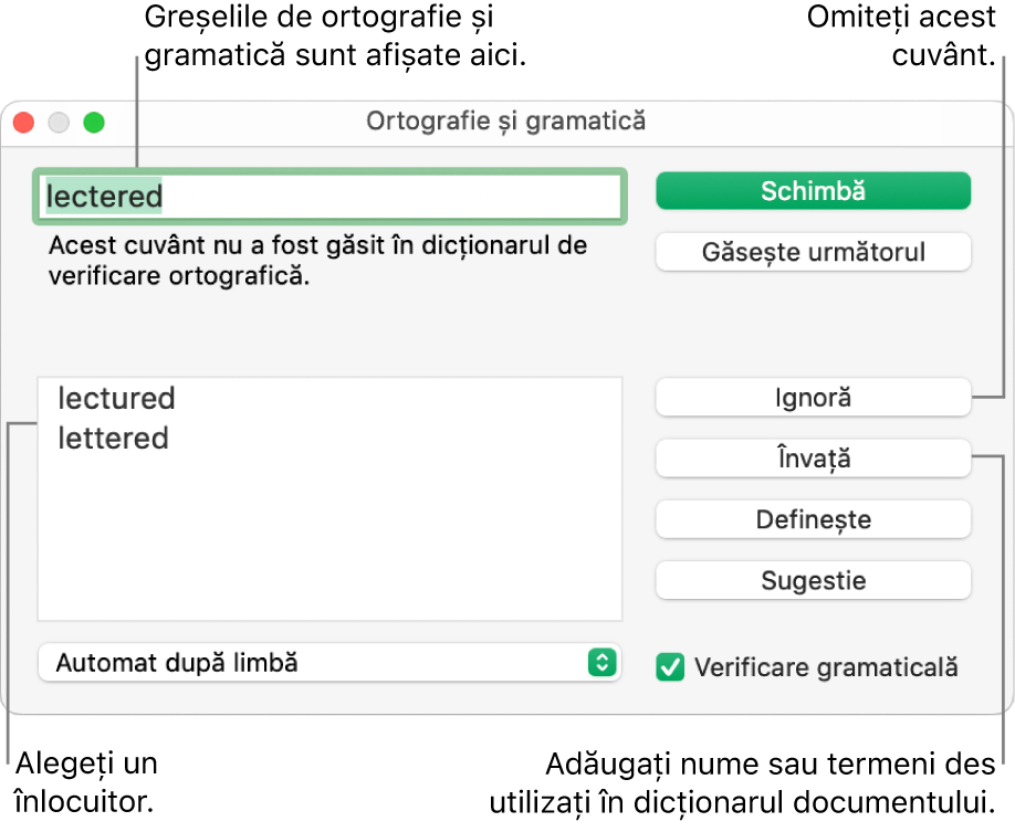 Fereastra Ortografie și gramatică.