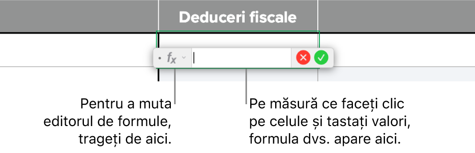 Editorul de formule.