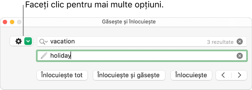 Fereastra Găsește și înlocuiește, cu explicație pentru butonul de afișare a mai multor opțiuni.