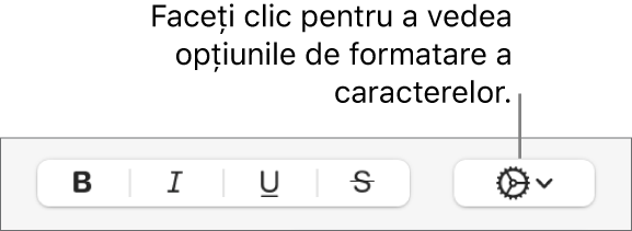 Butonul Opțiuni avansate de lângă butoanele Aldin, Cursiv, Subliniat și Tăiat cu o linie.