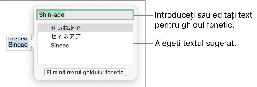 Se va deschide ghidul fonetic pentru un cuvânt, cu explicații pentru câmpul text și textul sugerat.