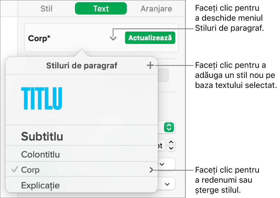 Meniul Stiluri de paragraf afișând comenzi de adăugare sau modificare a unui stil.