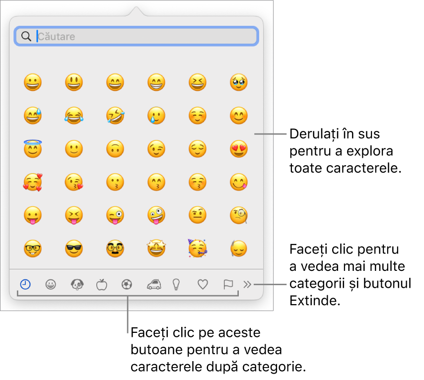 Fereastra pop-up Caractere speciale afișând emoticoane, butoane pentru diferite tipuri de simboluri în partea de jos și o explicație pentru un buton care afișează fereastra completă Caractere.