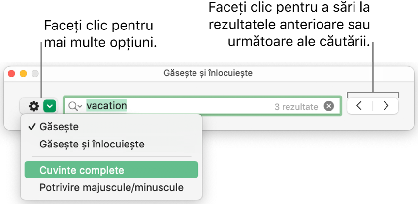 Fereastra Găsește și înlocuiește cu meniul pop-up afișând opțiunile Găsește, Găsește și înlocuiește, Cuvinte complete și Majuscule/minuscule. Săgețile din dreapta vă permit să treceți la rezultatele anterioare sau următoare ale căutării.