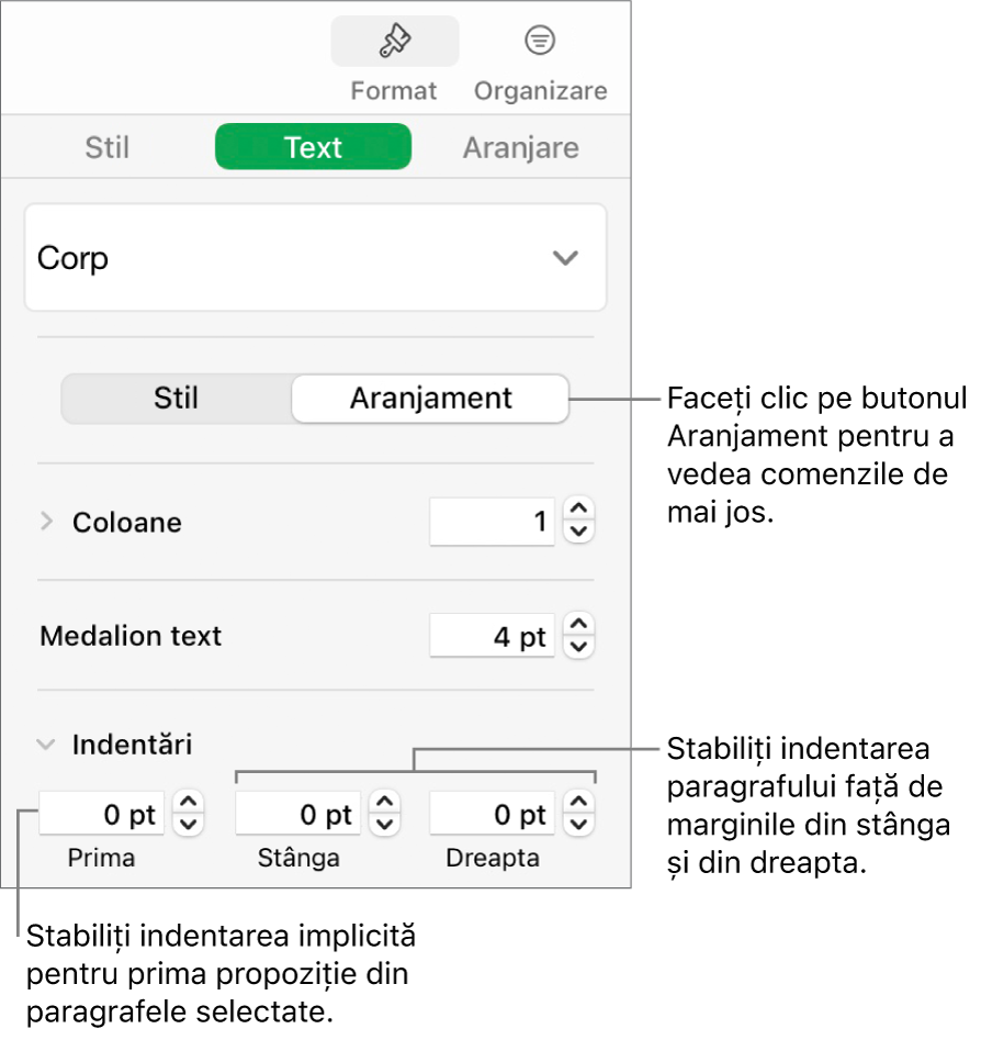 Secțiunea Aranjament a barei laterale Format afișând comenzi pentru configurarea indentării primei linii și a marginilor paragrafului.