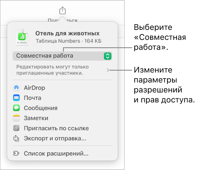 В верхней части экрана отображается меню «Поделиться». Выбран параметр «Совместная работа», под ним находятся настройки прав доступа.