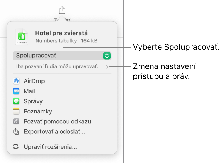 Menu Zdieľať s vybranou možnosťou Spolupracovať navrchu a pod ňou sa nachádzajú nastavenia prístupu a povolení.
