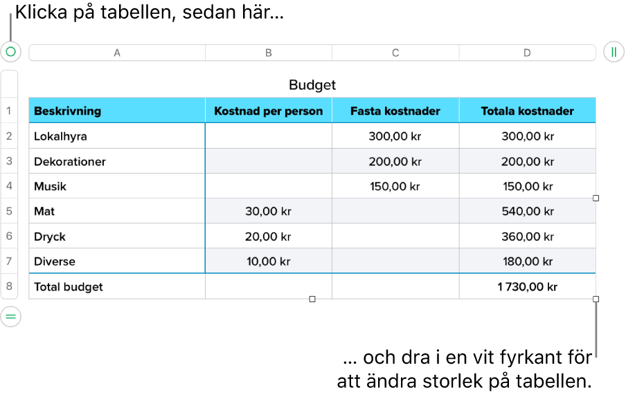 En markerad tabell med vita fyrkanter som används till att ändra storleken.