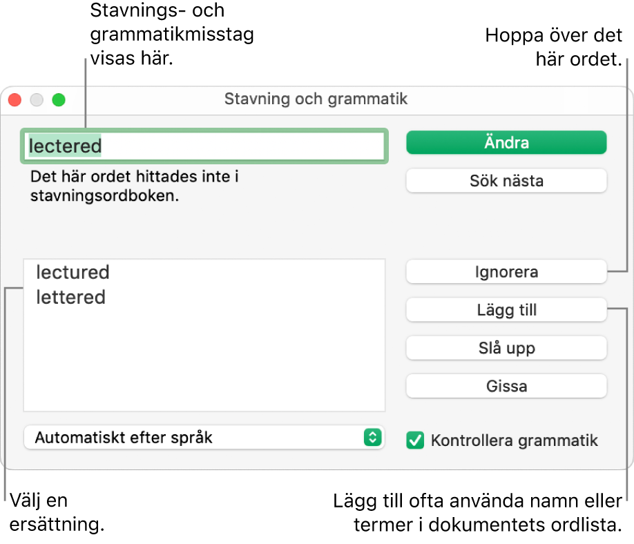 Fönstret Stavning och grammatik.