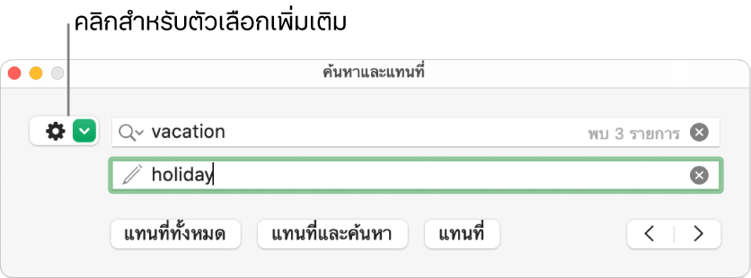 หน้าต่างค้นหาและแทนที่ที่มีคำบรรยายของปุ่มเพื่อแสดงตัวเลือกเพิ่มเติม