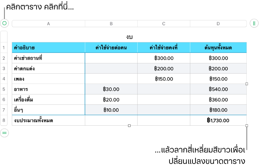 ตารางที่เลือกอยู่พร้อมสี่เหลี่ยมสีขาวสำหรับปรับขนาด