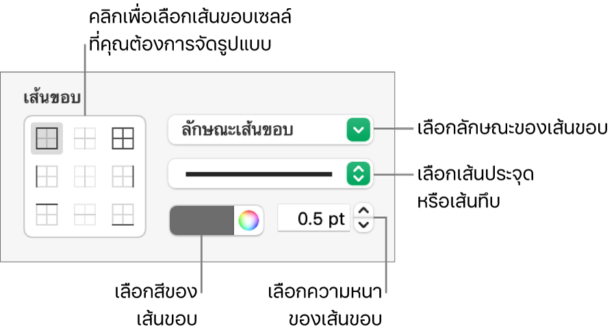 ตัวควบคุมการจัดลักษณะของเซลล์