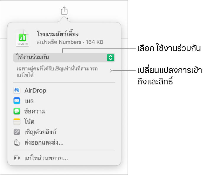 เมนูแชร์ที่มีใช้งานร่วมกันถูกเลือกอยู่ที่ด้านบนสุด และการตั้งค่าการเข้าถึงและสิทธิ์อยู่ที่ด้านล่าง